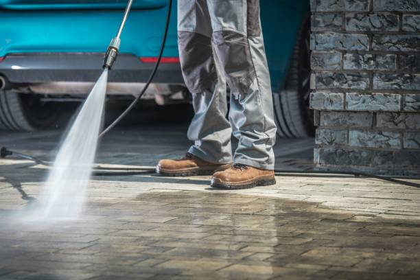 Best Winterizing Services  in The Homesteads, TX