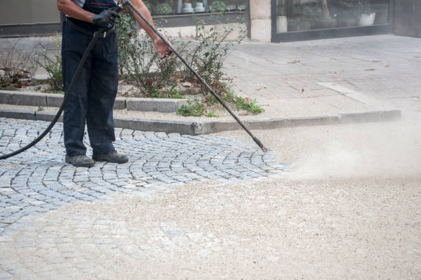 Professional  Pressure Washing Services in The Homesteads, TX