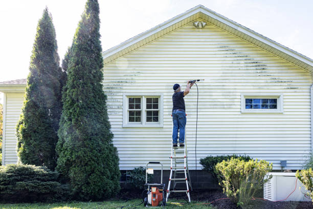 Best Rust Removal  in The Homesteads, TX